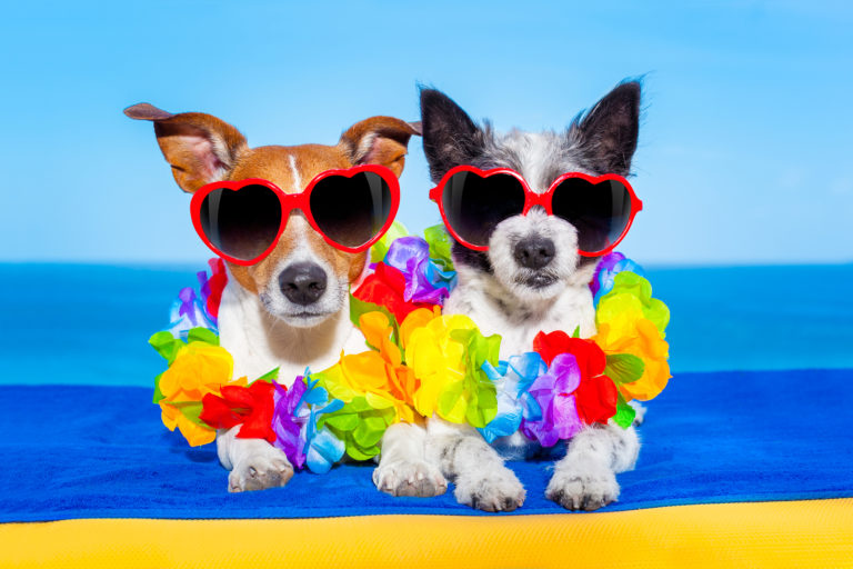 Celebrate National Sunglasses Day OE Patients