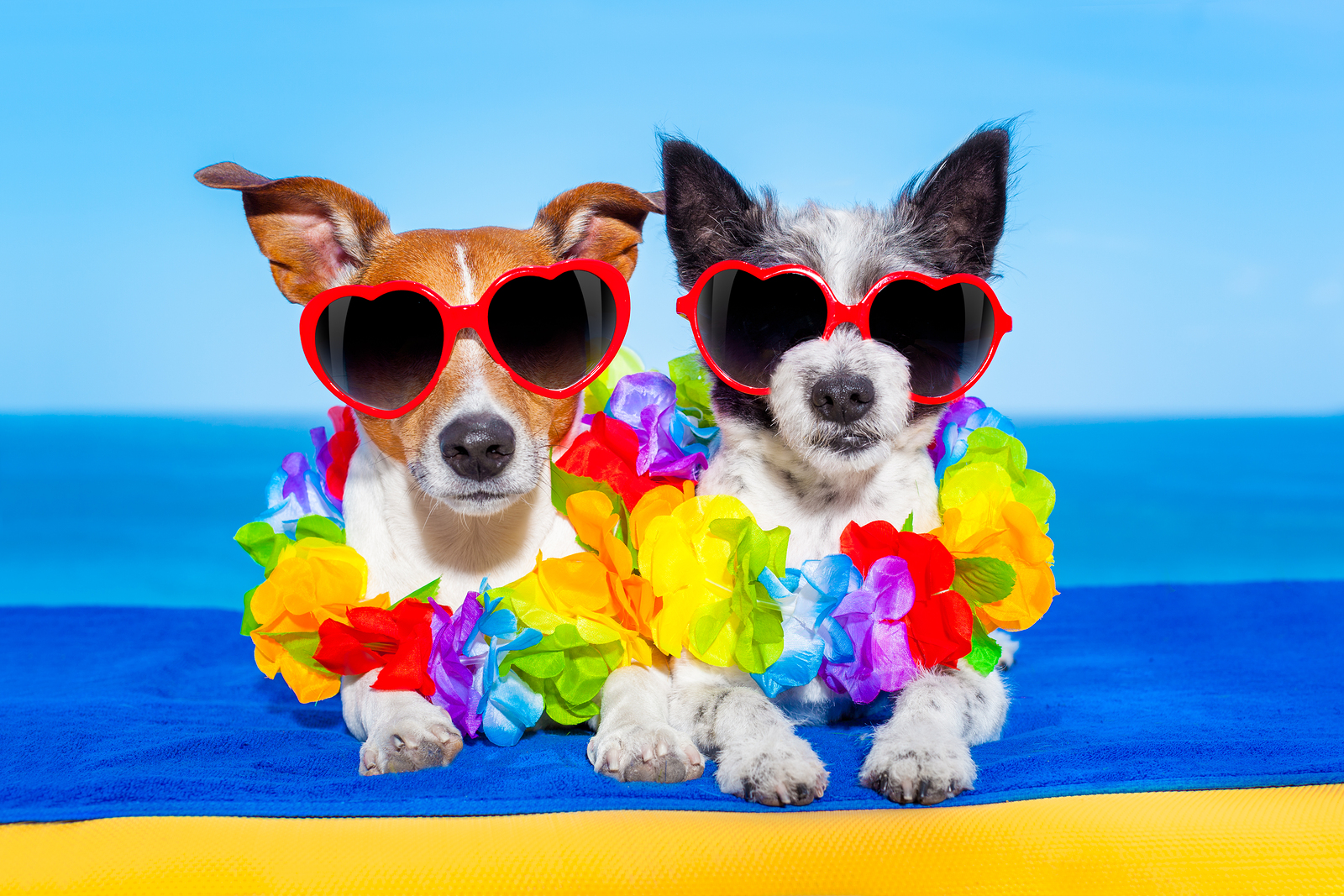 Celebrate National Sunglasses Day - OE Patients