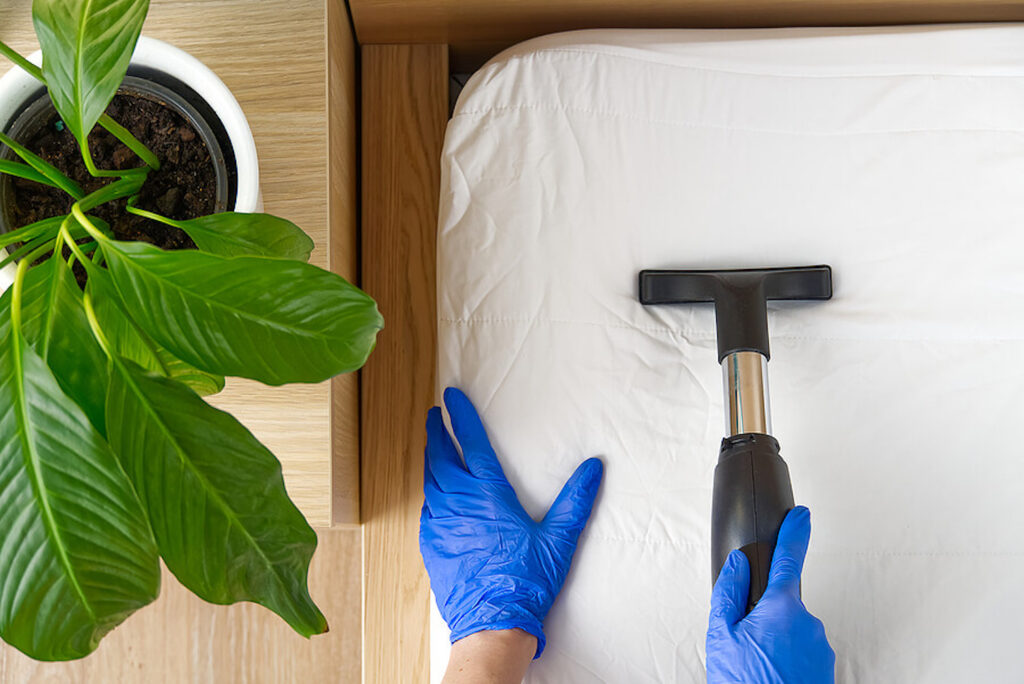 Spring cleaning image includes blue rubber gloves, vacuum and leafy houseplant.