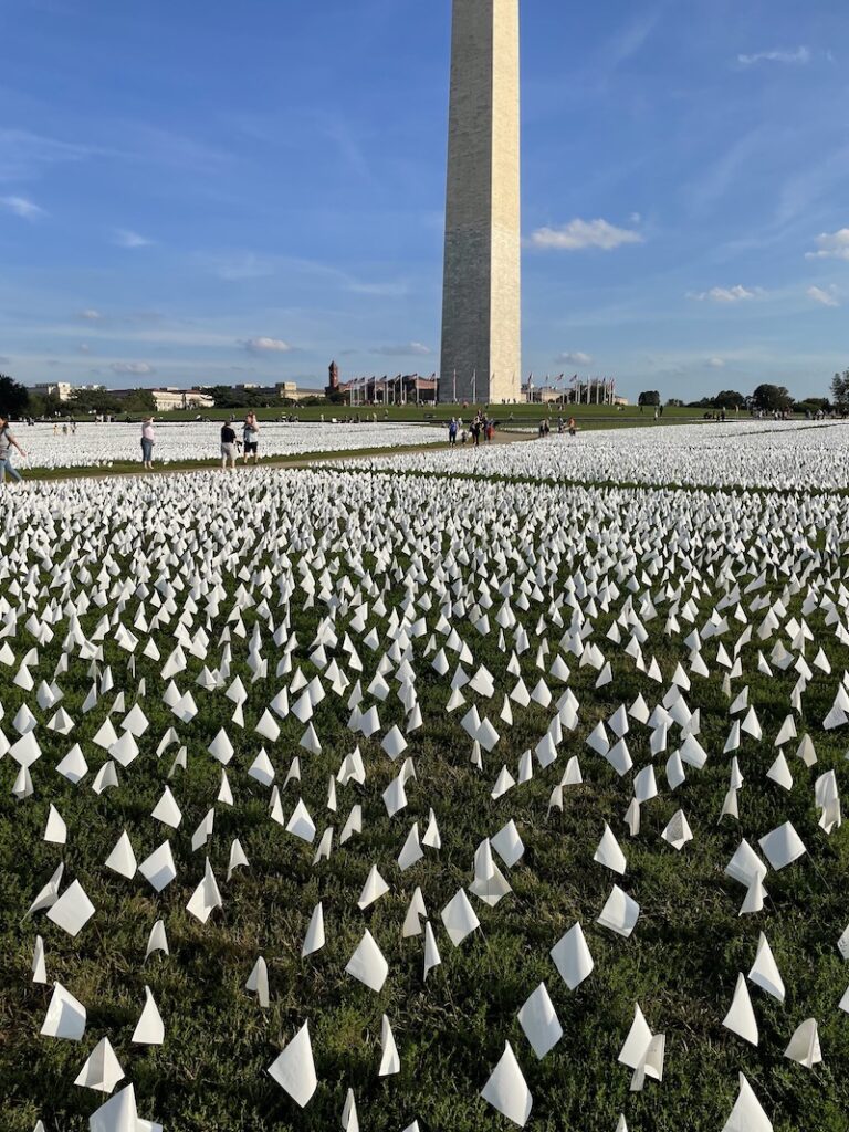 Image shows white flag memorial installation at Washington Monument on October 2, 2021.