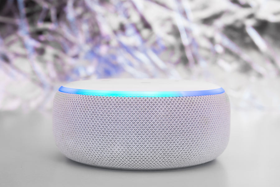 Echo Alexa Speaker