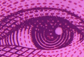 Artistic close up image of eye on pink background